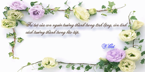 Danh%20ngon%20cuoc%20song %20haithanhqn[4]